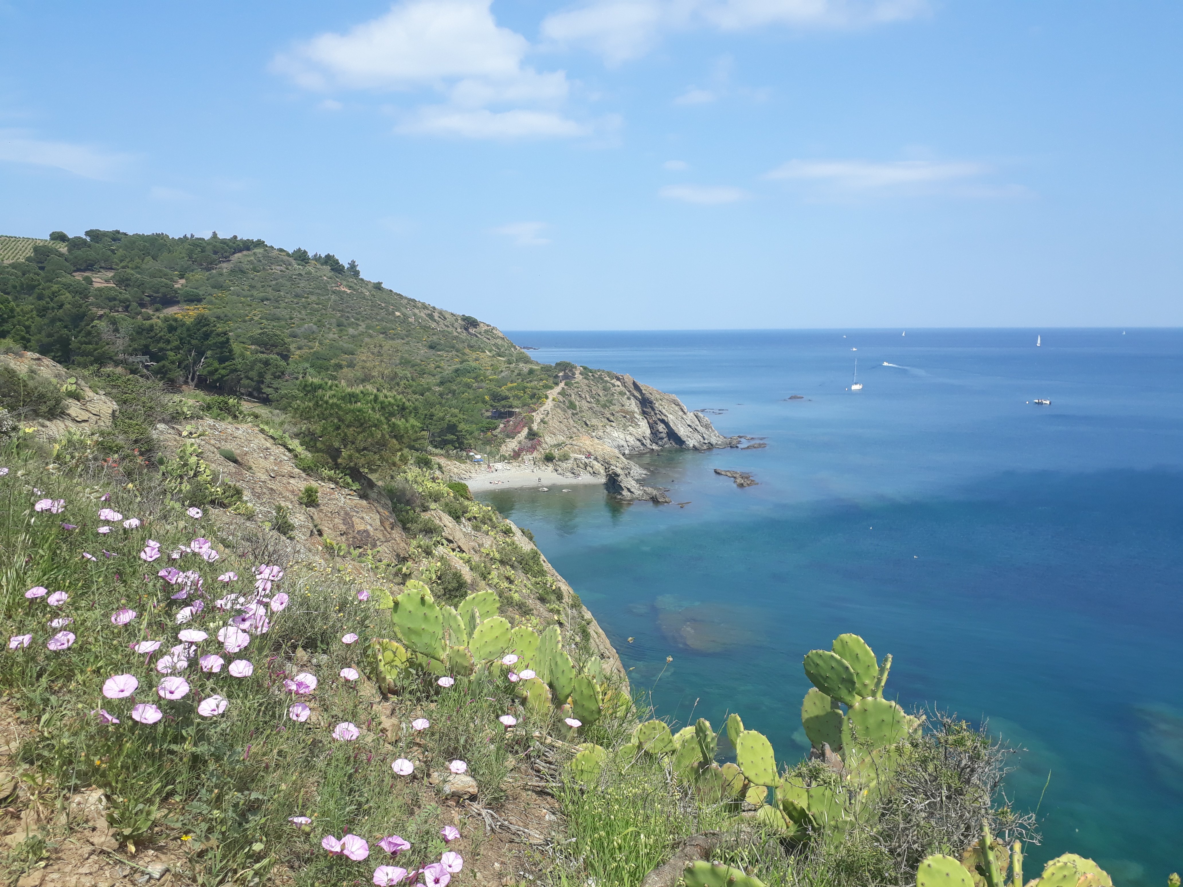 Sentier des Douaniers